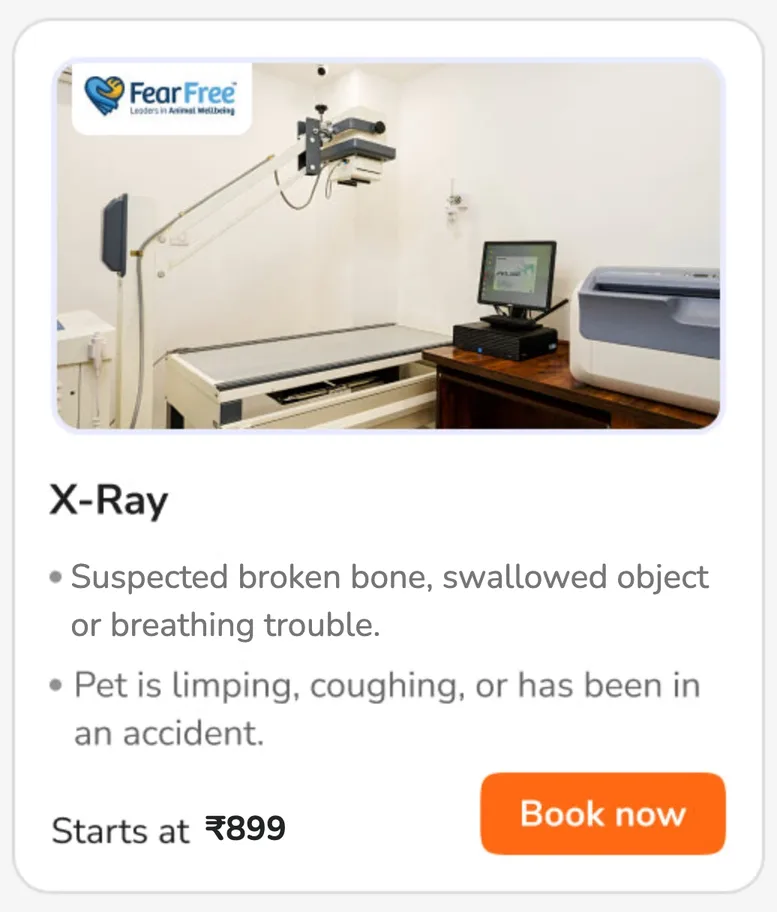 X-Ray