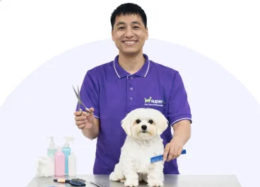 Grooming at Supertails+ Indiranagar