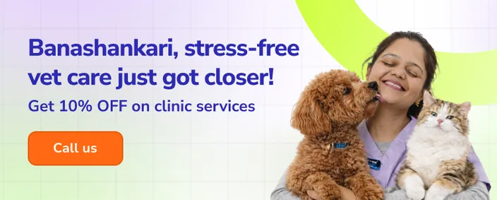 Supertails premium pet clinic and dog grooming center facility located in Banashankari Bangalore near Banashankari BDA Complex.
