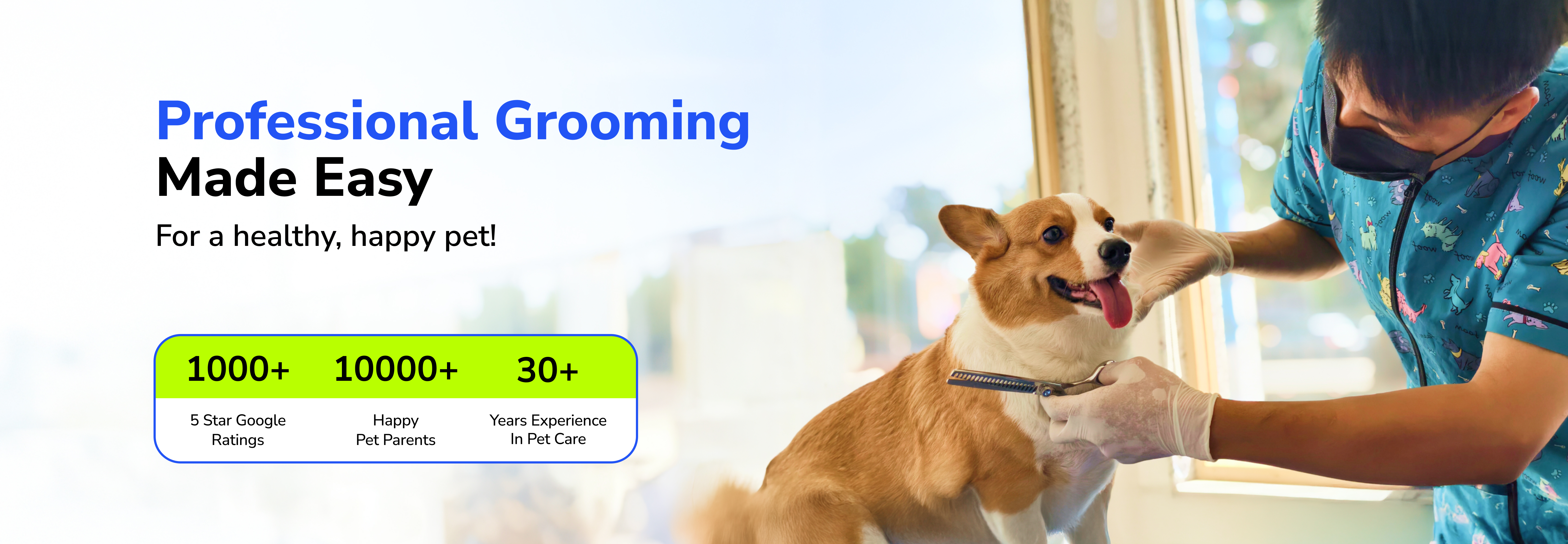 Professional dog grooming and pet spa session at a Supertails center in Bangalore featuring a certified groomer, trust badges, and 5-star rating statistics