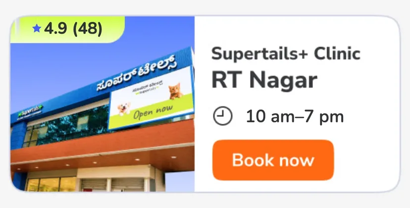 RT Nagar