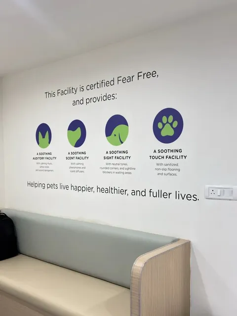 Fear Free certified waiting area at a Supertails+ clinic