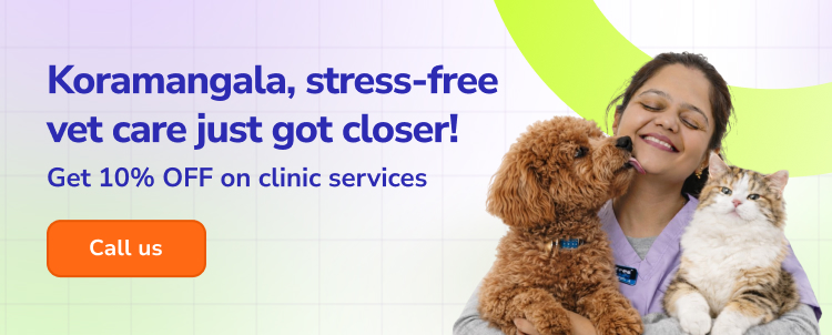 Supertails premium pet clinic and dog grooming center facility in Koramangala Bangalore near Marvel Multispeciality Hospital.