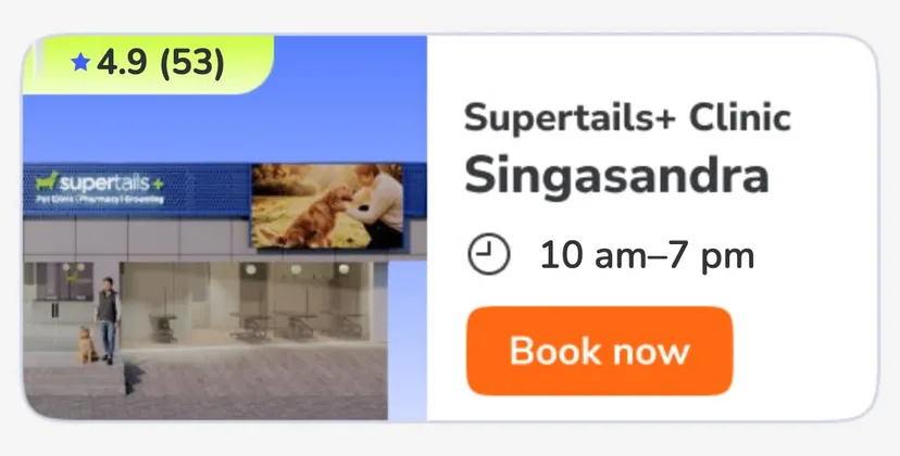 Singasandra