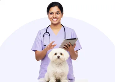 Vet consultation at Supertails+ Indiranagar