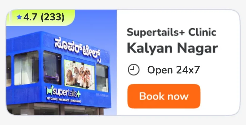 Kalyan Nagar