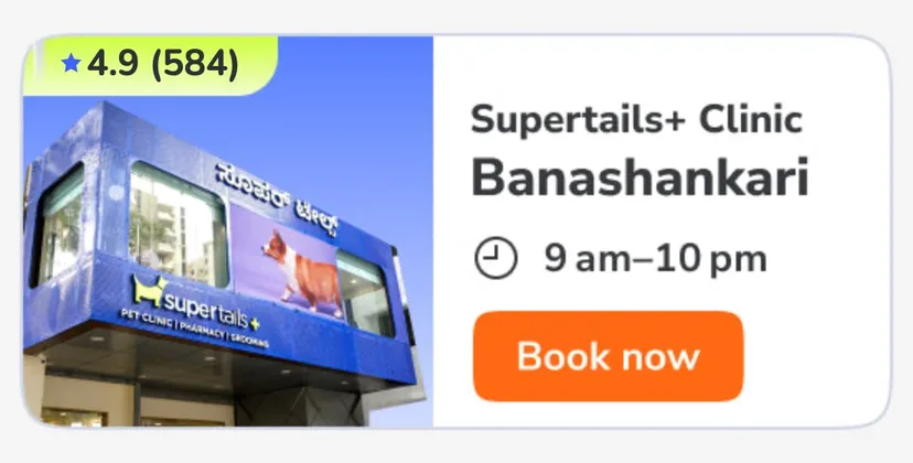 Banashankari