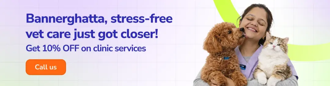 Supertails premium pet clinic and dog grooming center facility located on Bannerghatta Road Bangalore near Arekere Lake.