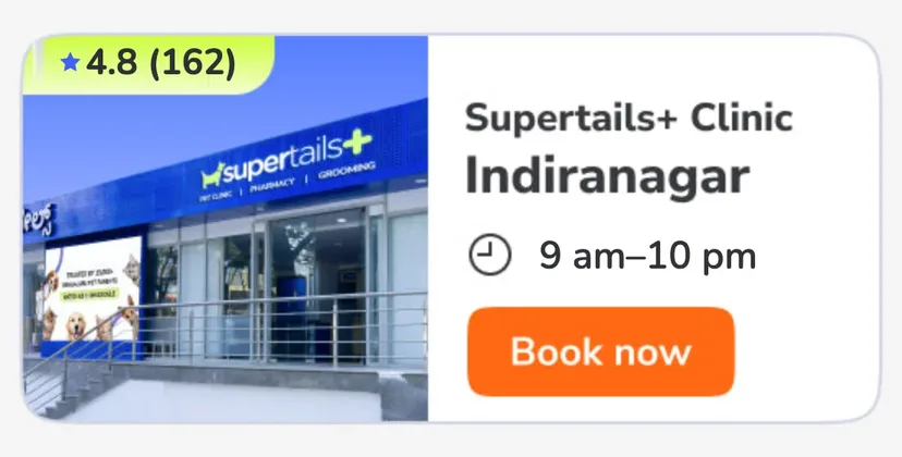 Indiranagar