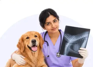 Digital X-ray at Supertails+ Indiranagar