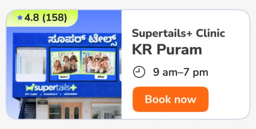 KR Puram