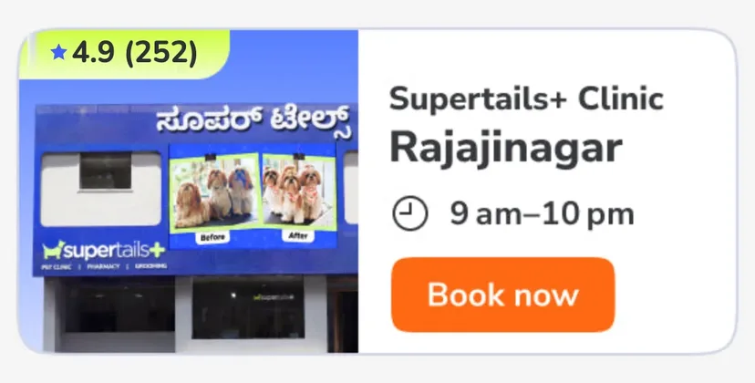 Rajajinagar